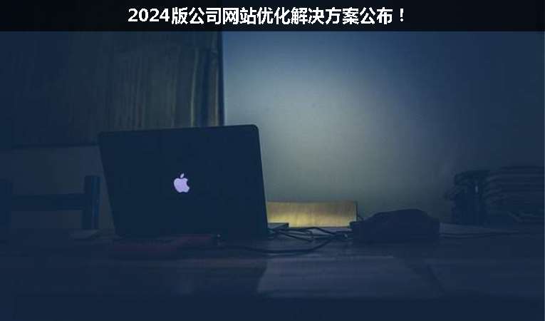 2024版公司網(wǎng)站優(yōu)化解決方案公布！