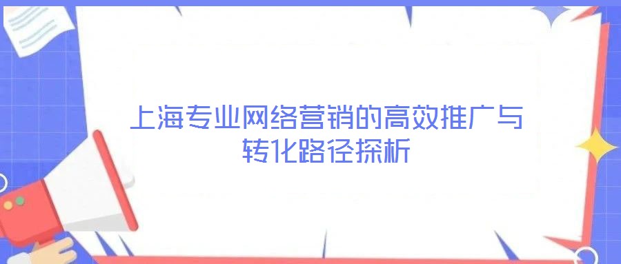 上海專業(yè)網(wǎng)絡(luò)營(yíng)銷的高效推廣與轉(zhuǎn)化路徑探析