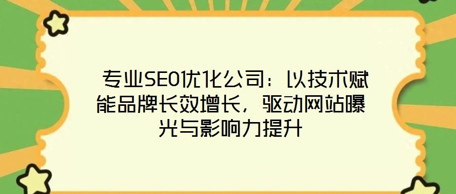  專業(yè)SEO優(yōu)化公司：以技術(shù)賦能品牌長效增長，驅(qū)動網(wǎng)站曝光與影響力提升