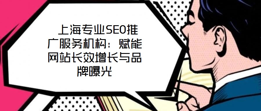  上海專業(yè)SEO推廣服務機構：賦能網(wǎng)站長效增長與品牌曝光
